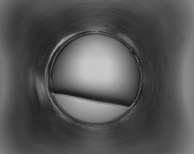 X0000085021032200703050933
