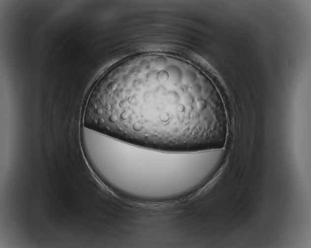 X0000085021033200703050933