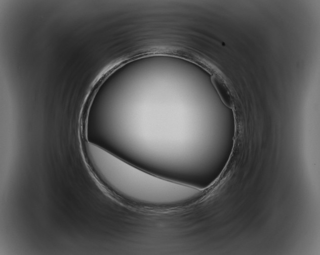 X0000085021034200703050933
