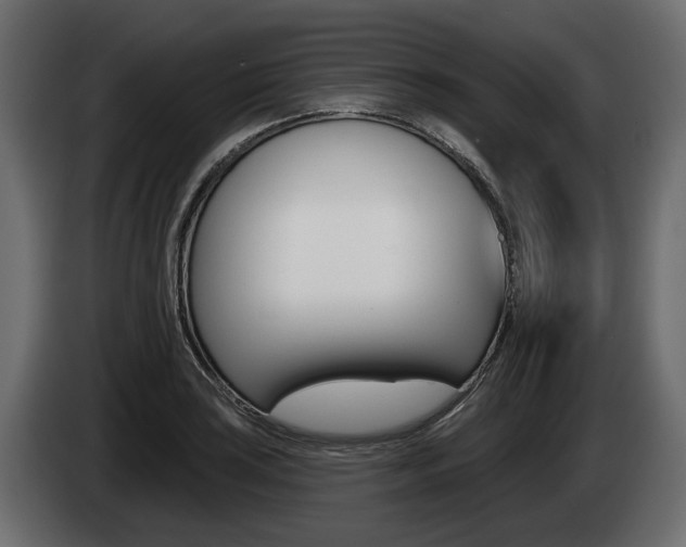 X0000085021035200703050933