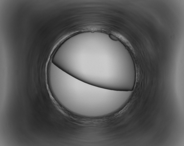 X0000085021039200703050933