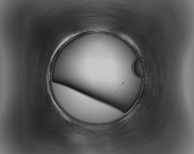 X0000085021040200703050933