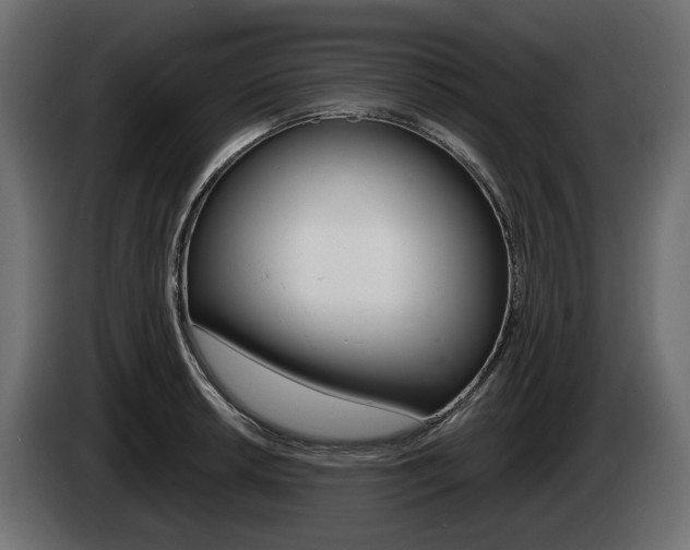 X0000085021042200703050933