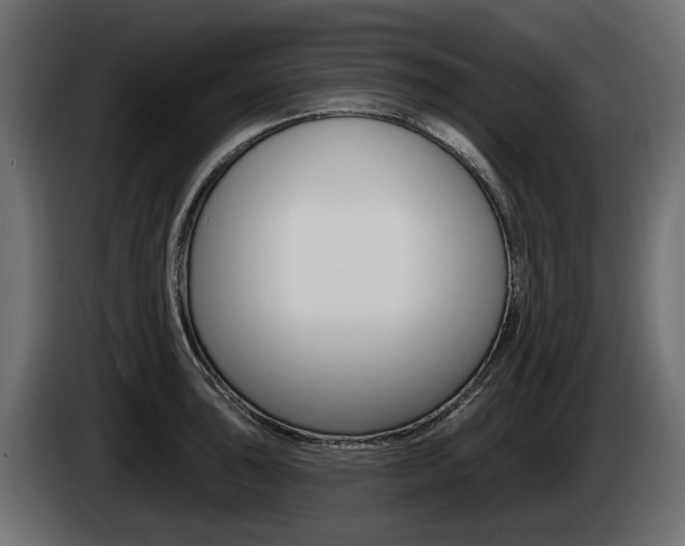 X0000085021043200703050933