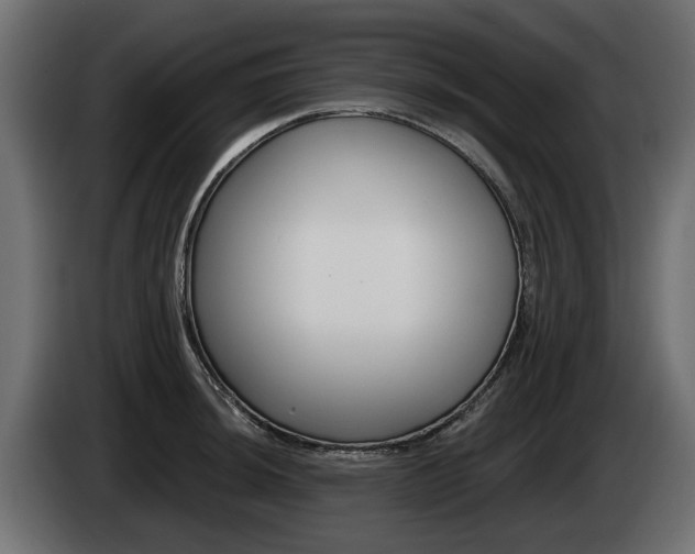 X0000085021044200703050933