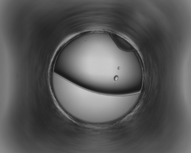 X0000085021045200703050933