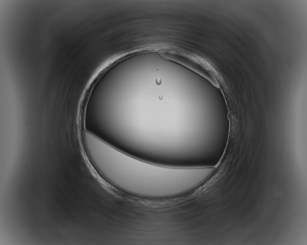 X0000085021046200703050933