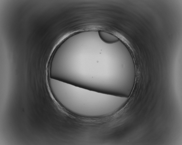 X0000085021047200703050933