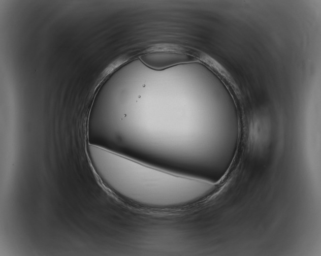 X0000085021049200703050933