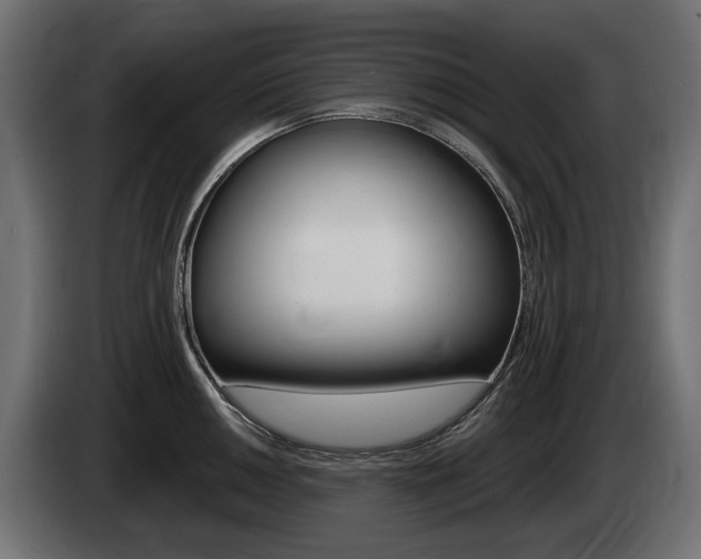 X0000085021050200703050933