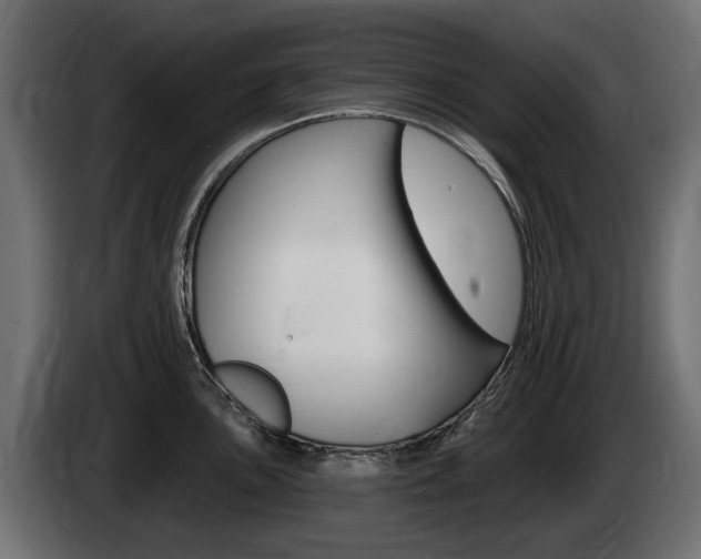 X0000085021051200703050933