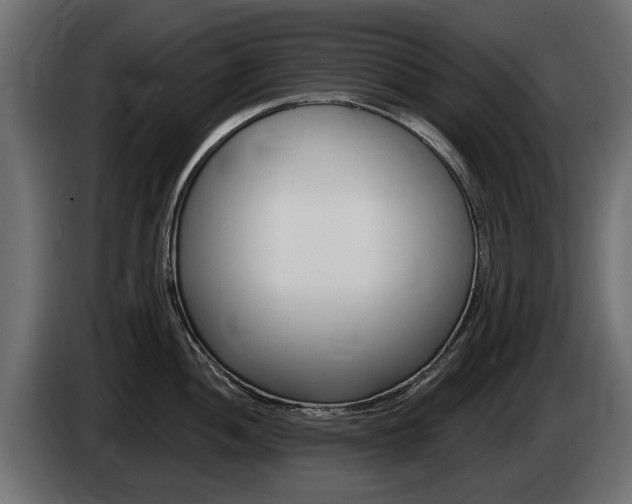 X0000085021052200703050933