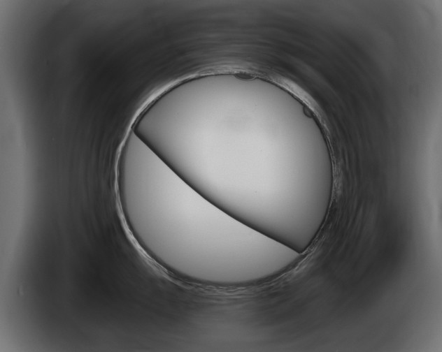X0000085021055200703050933