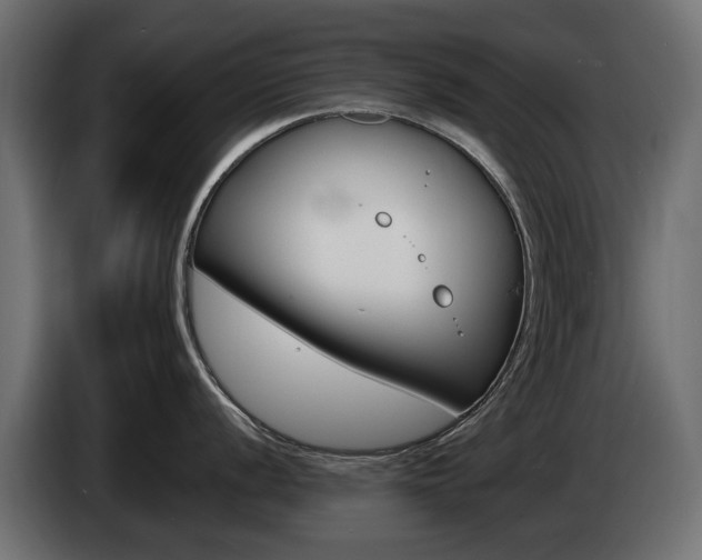 X0000085021056200703050933