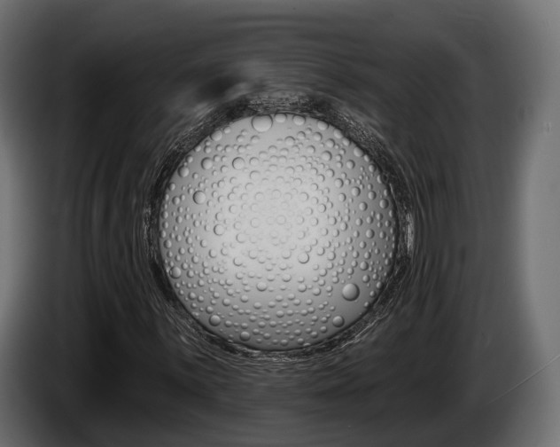 X0000085021059200703050932