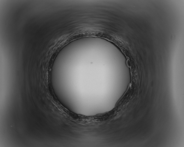 X0000085021061200703050932
