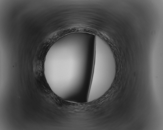 X0000085021062200703050932