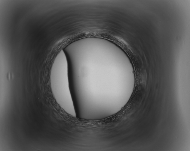 X0000085021063200703050932