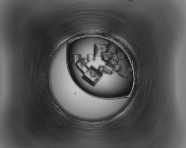 X0000085021065200703050932
