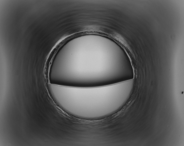 X0000085021068200703050932