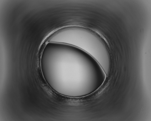 X0000085021069200703050932