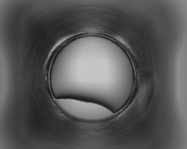 X0000085021070200703050932