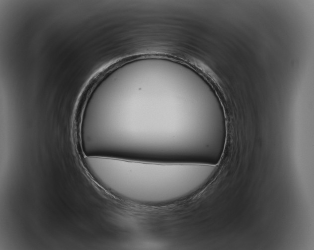 X0000085021072200703050932