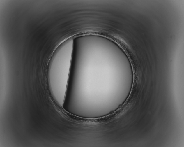 X0000085021073200703050932