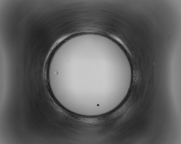 X0000085021074200703050932