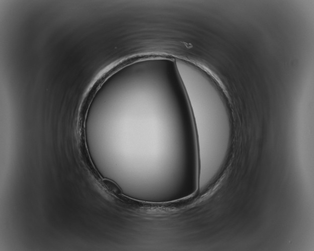 X0000085021077200703050932