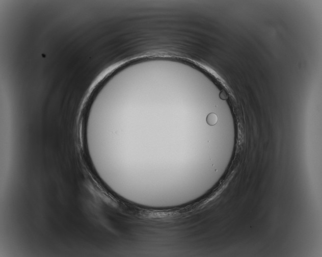 X0000085021078200703050932