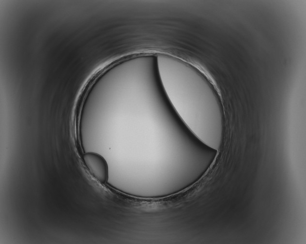X0000085021080200703050932