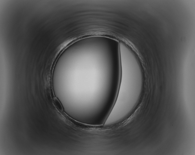 X0000085021081200703050932