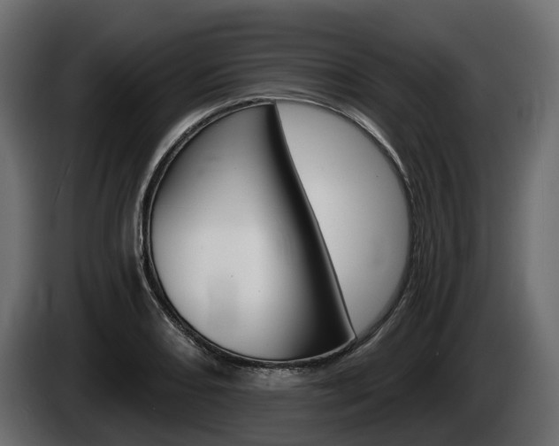 X0000085021082200703050932