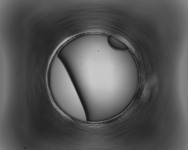 X0000085021084200703050932