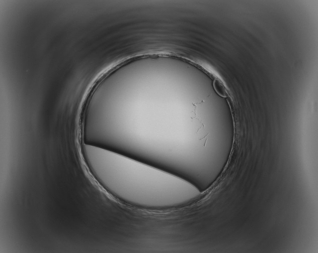 X0000085021088200703050932