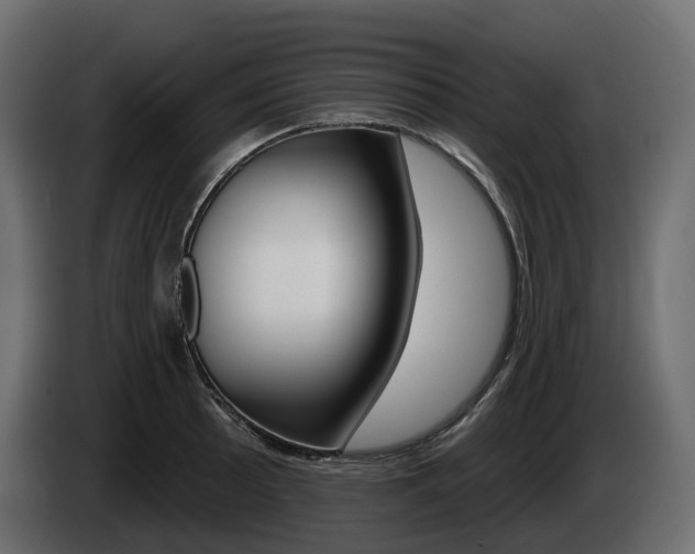 X0000085021089200703050932