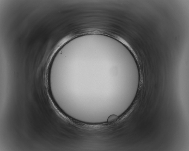 X0000085021090200703050932