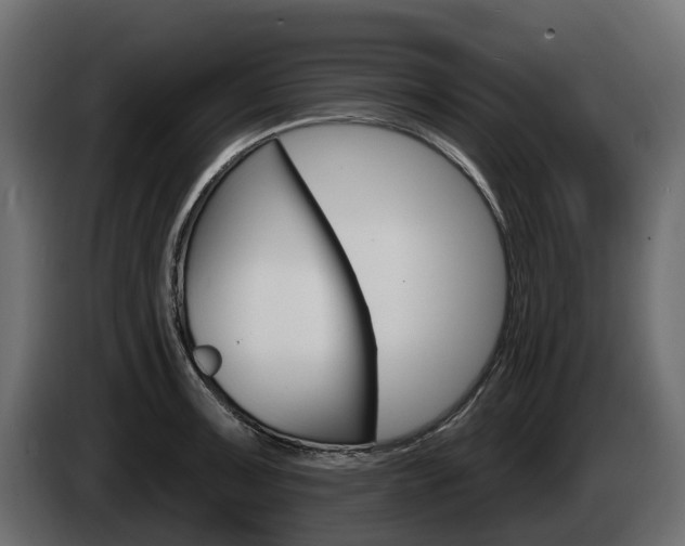X0000085021091200703050932