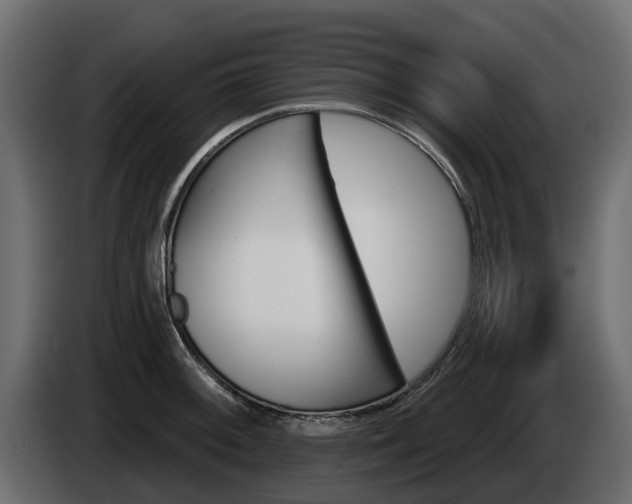 X0000085021092200703050932