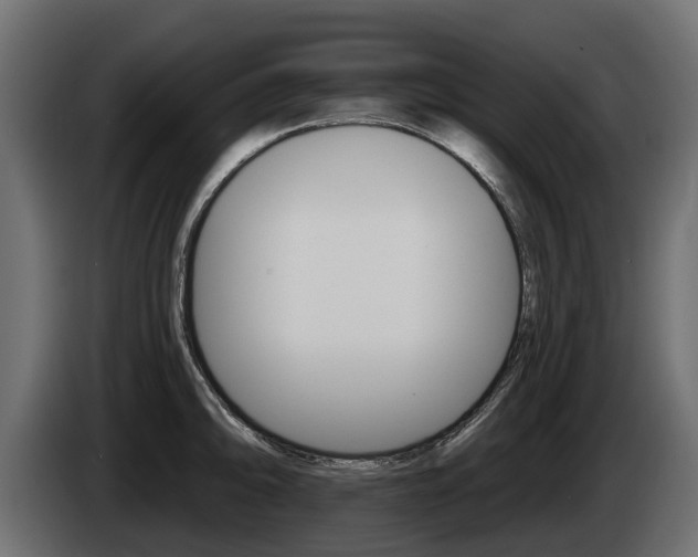 X0000085021094200703050932