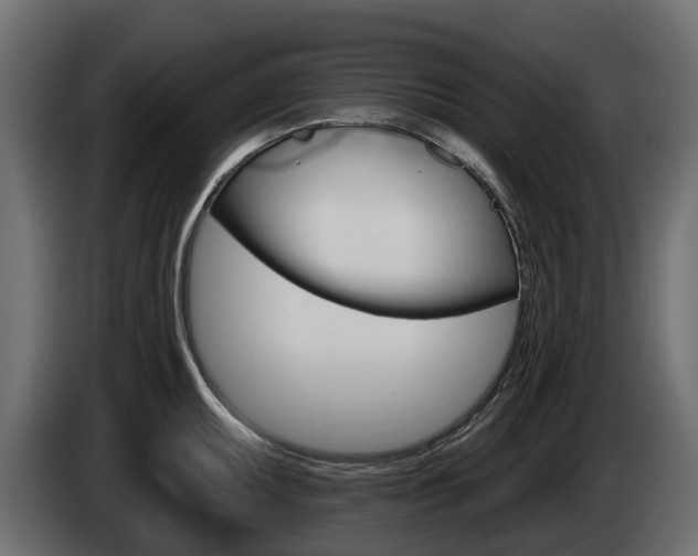 X0000085021095200703050932