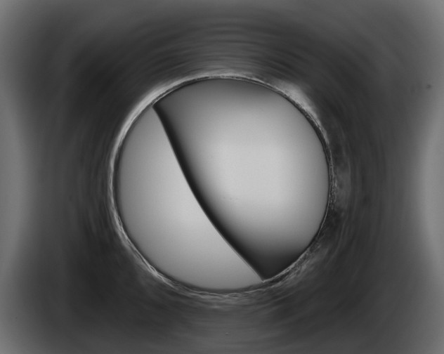 X0000085021096200703050932