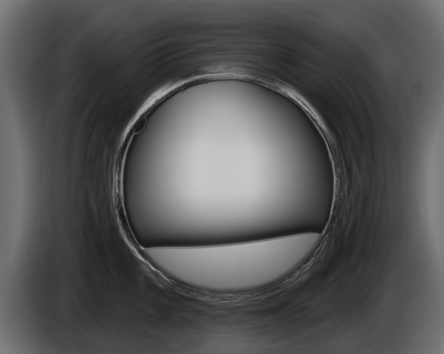 X0000085021101200703050932