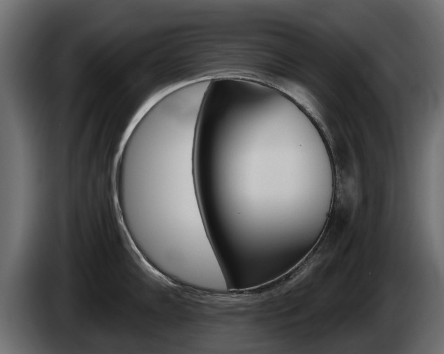 X0000085021102200703050932
