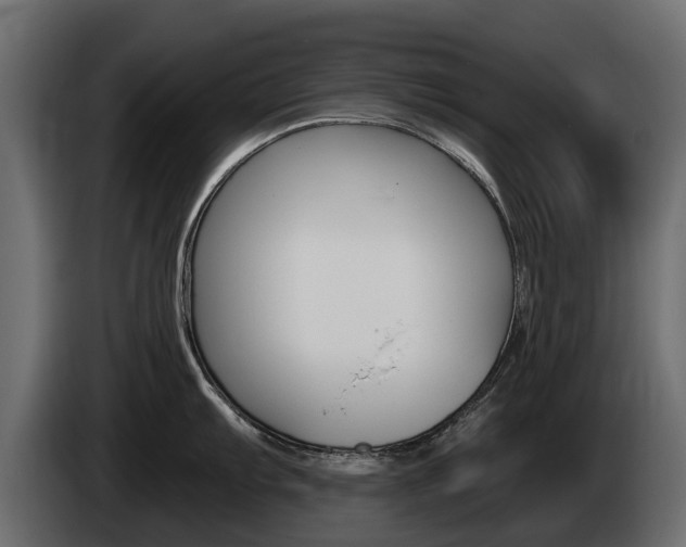 X0000085021103200703050931