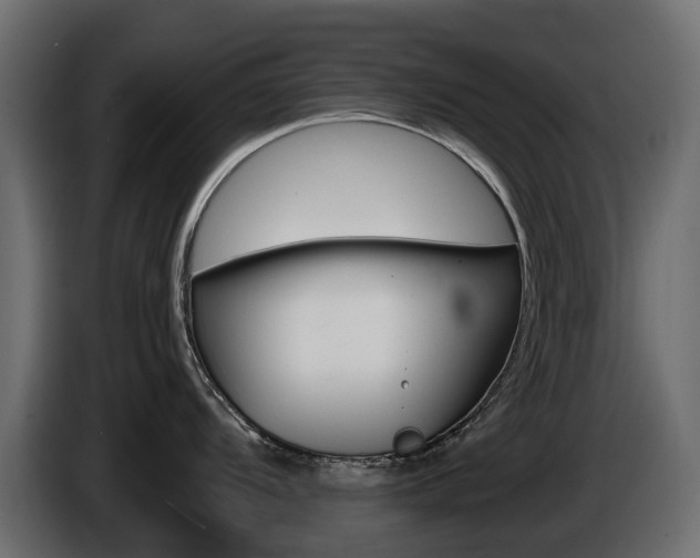 X0000085021104200703050931
