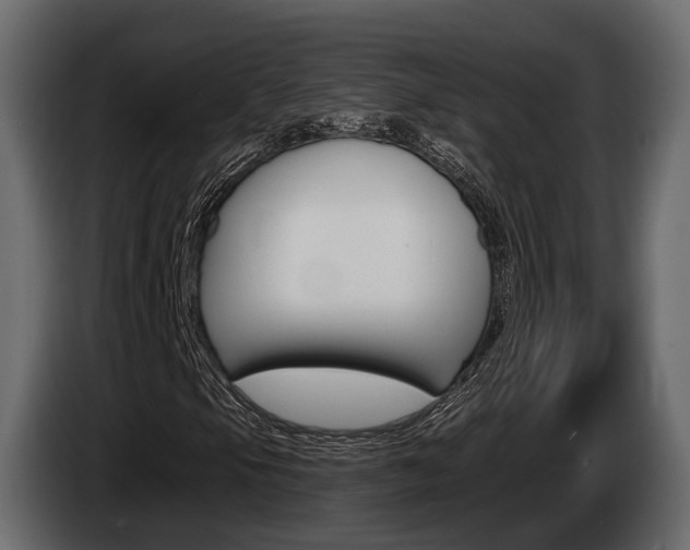 X0000085021105200703050931