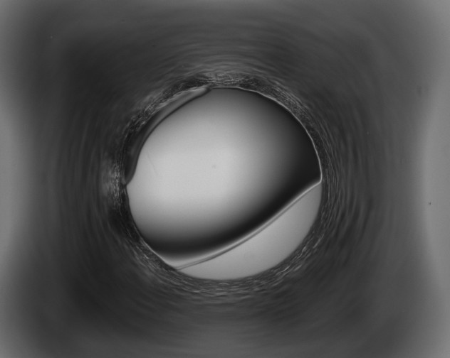 X0000085021108200703050931