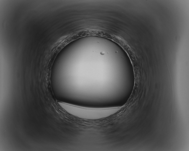 X0000085021110200703050931